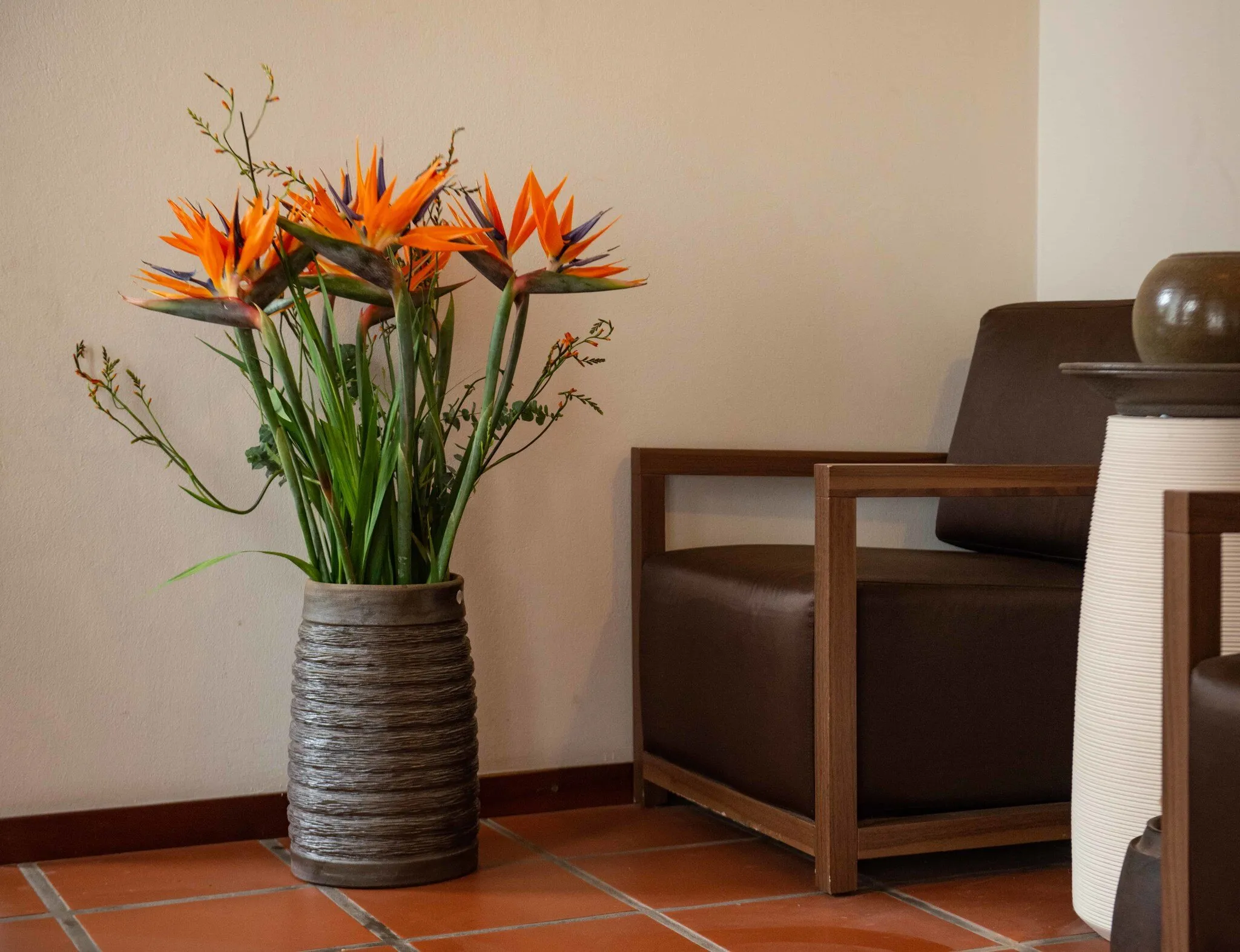 A ribbed dark vase holding bird-of-paradise flowers in a living room